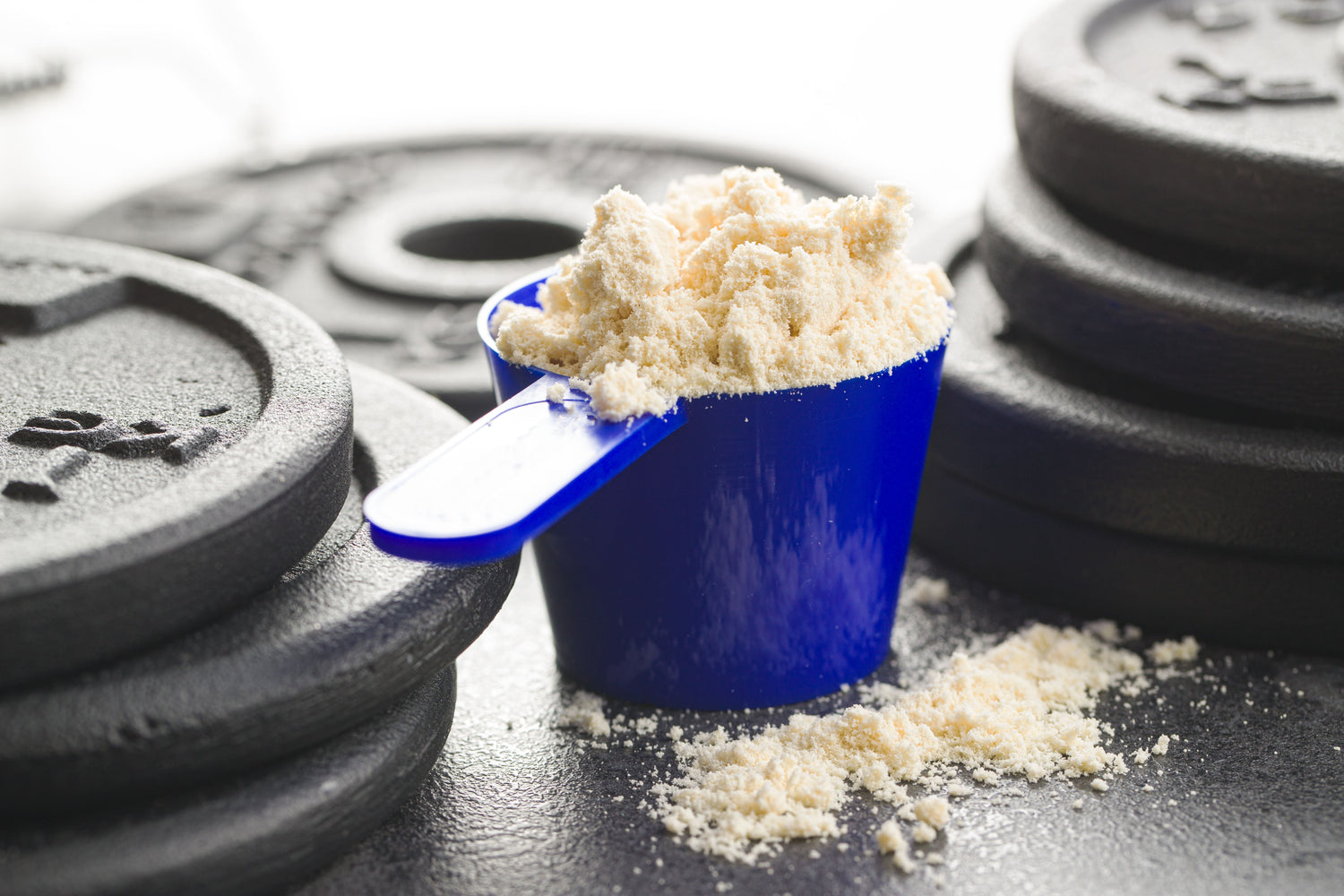 Protein powders